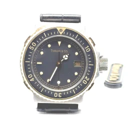 1743277524817-7b69e7ebe28e80c25a69-20250328133514256c0a0e062